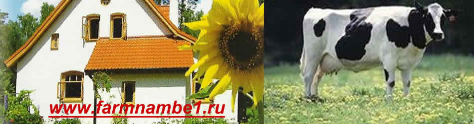 www.farmnamberutwo.ru